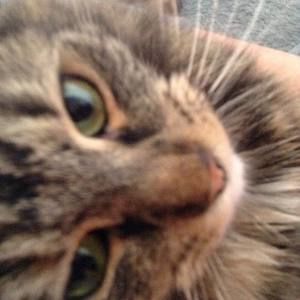 Meet your Posher, Colleen